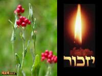 עליה לקברי חללי הפלוגה, טקס האזכרה השנתי ה-52 במספר לחללי מלחמת יום הכיפורים - 5 באוקטובר  2025